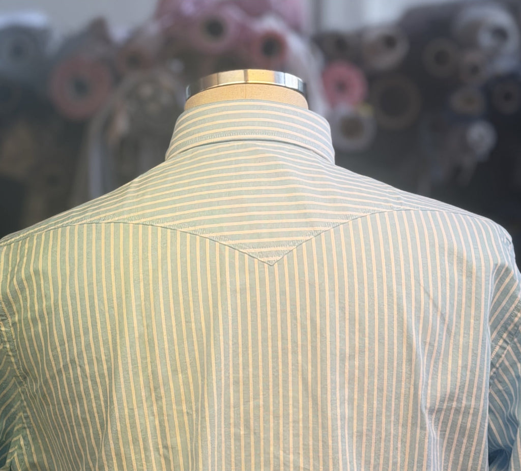 Camicia-righe-biancoazzurra-Baddy-3108/03-posteriore