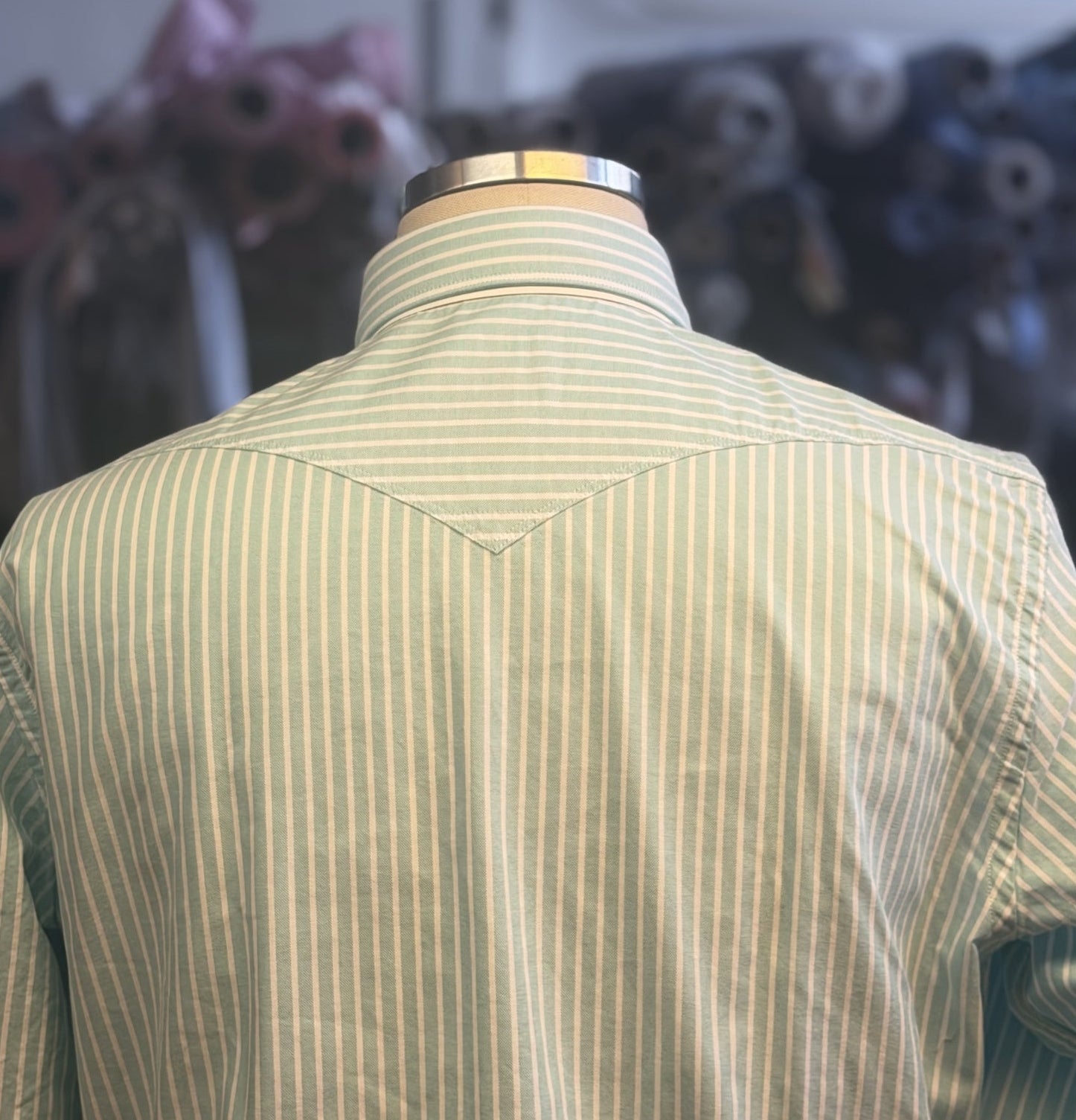 Camicia-righe-verdeacqua-Baddy-3108/01-posteriore